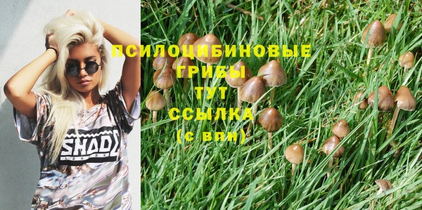 синтетический гашиш Алексин