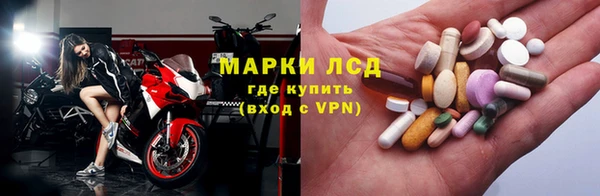 ГАЛЛЮЦИНОГЕННЫЕ ГРИБЫ Алзамай