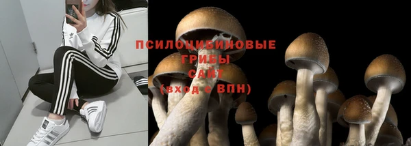 гидра Алексеевка