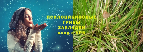 ГАЛЛЮЦИНОГЕННЫЕ ГРИБЫ Алзамай