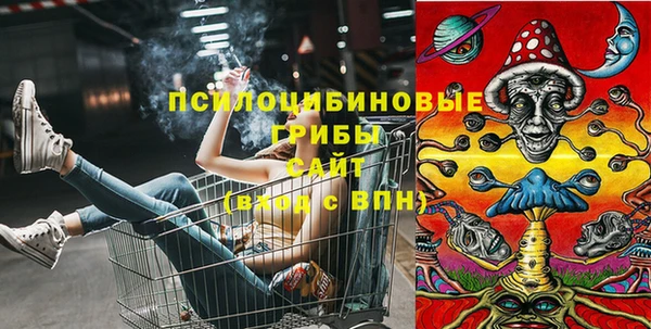 гидра Алексеевка