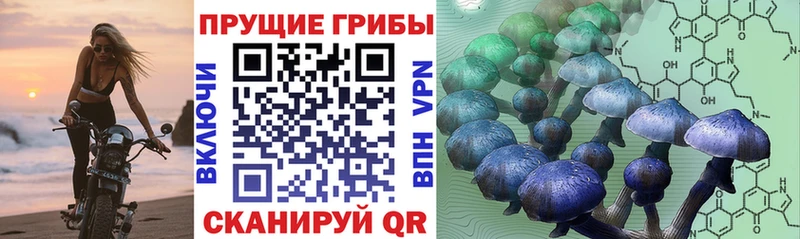KRAKEN как войти Узловая мориарти наркотические препараты купить цена Галлюциногенные грибы GOLDEN TEACHER
